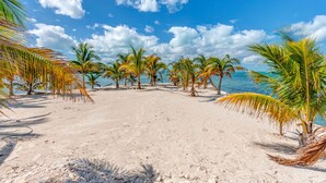 A beach with palm trees and a clear blue sky. - Waterfront 4-Bedroom Home on Private Peninsula w/ Private Dock! (Elbow Cay)
