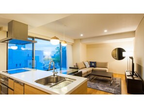 Fridge, stovetop, cookware/dishes/utensils