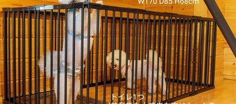 Limited hot spring ticket included Limited to on / Takashima Shiga