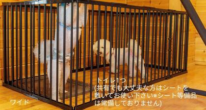 Limited hot spring ticket included Limited to on / Takashima Shiga
