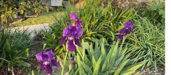 Old Town Americana in the heart of La Verne