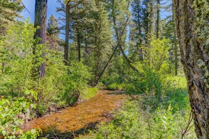 Pool - Remote, comfortable rustic cabins, tranquil stream-side, nature at your doorstep (Canyon Creek)
