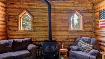 TV, fireplace, books, video library
