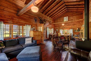 TV, fireplace, books, video library