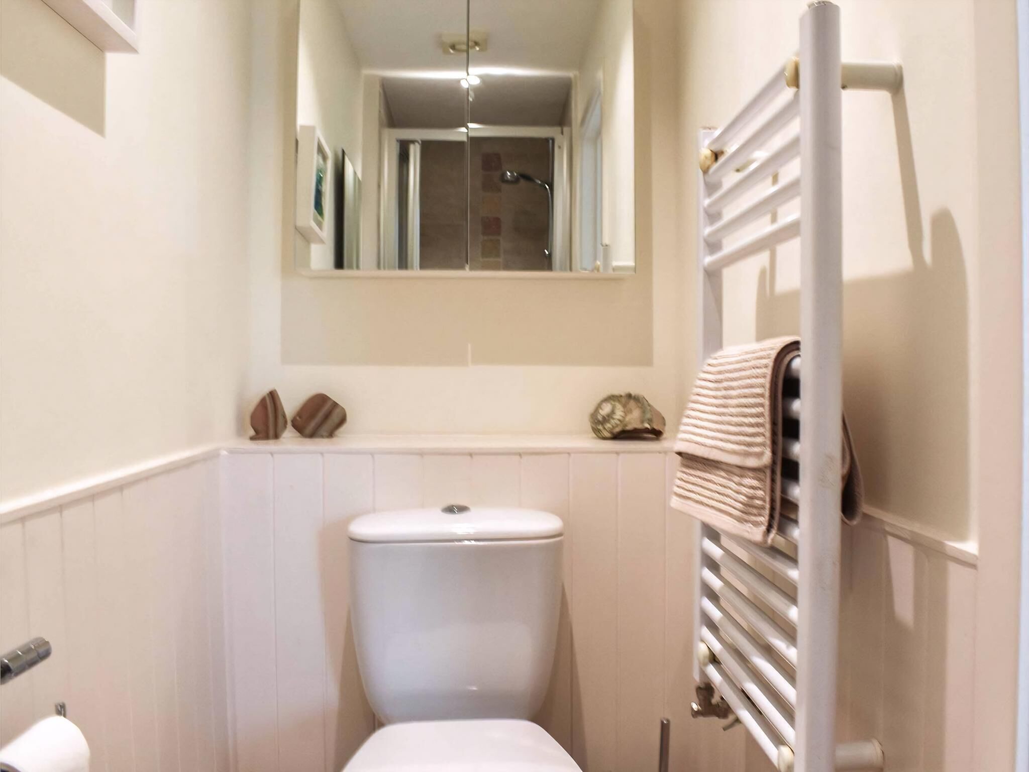 Een kleine, compacte badkamer met een wit toilet, een spiegel boven de wasbak en een handdoekrek.