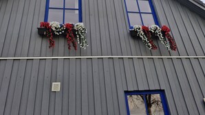 A building with two windows, each with a blue frame and a flower box below.