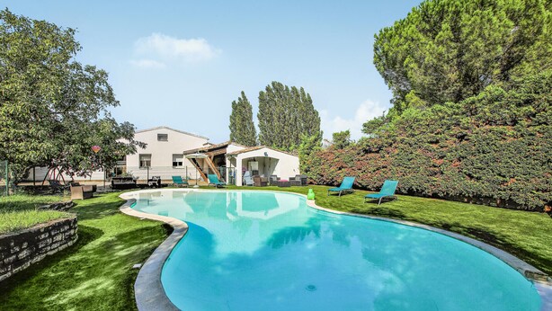 Une piscine à bord incurvé, entourée d’une pelouse bien entretenue et de différentes espèces d’arbres.