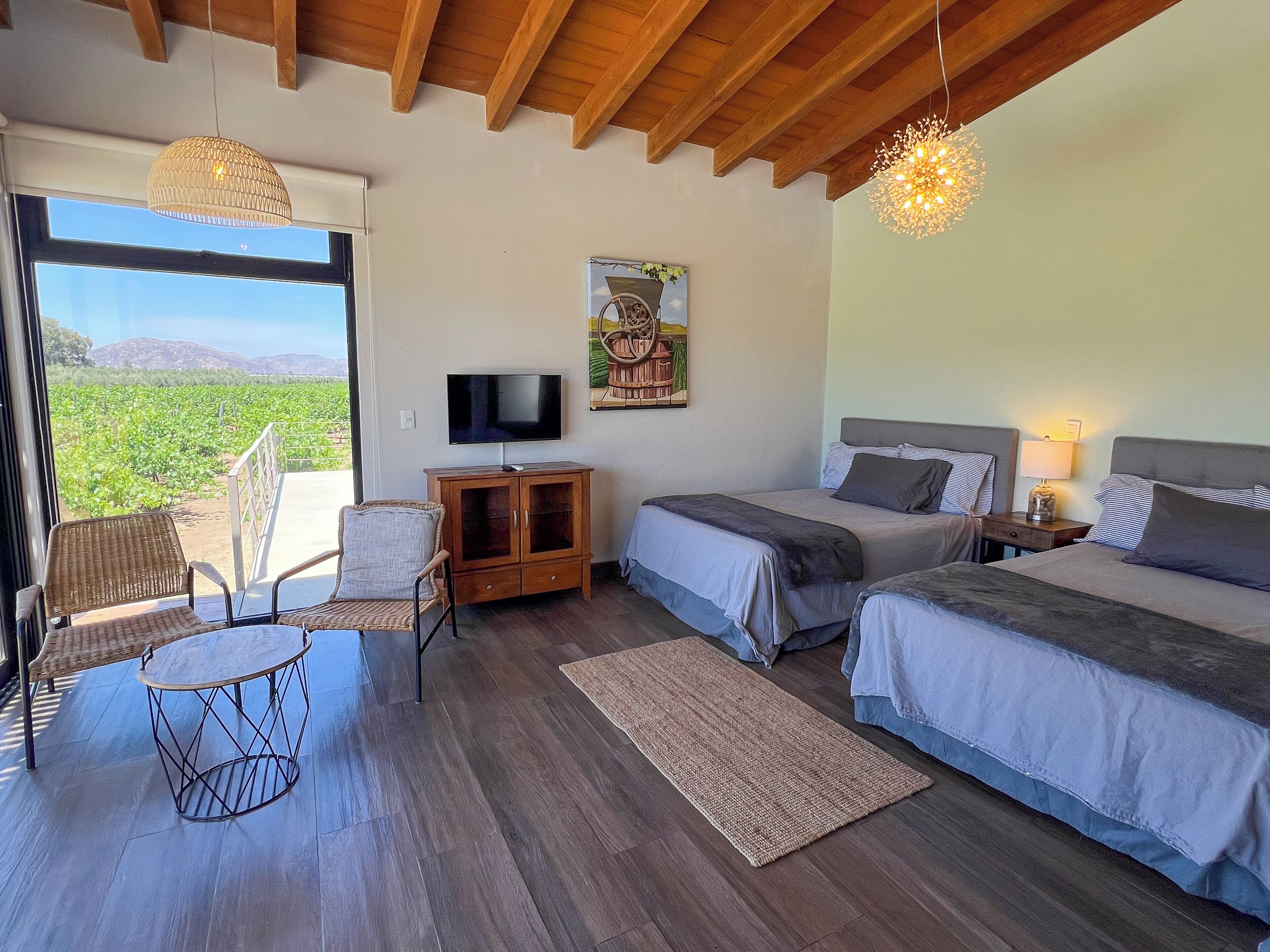 Deluxe Double Room, Vineyard View | In-room safe, iron/ironing board, free WiFi, bed sheets