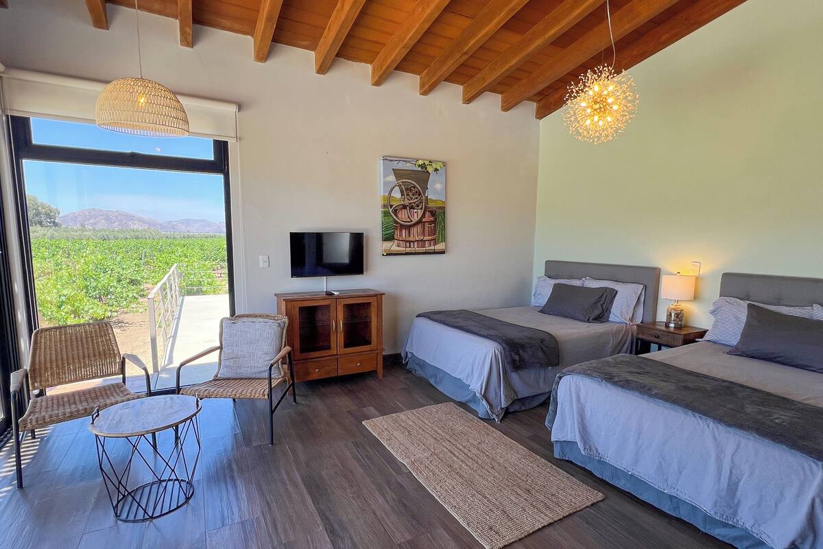A bedroom with two beds, a TV, a wooden cabinet, a wicker chair, and a large window with a vineyard view.