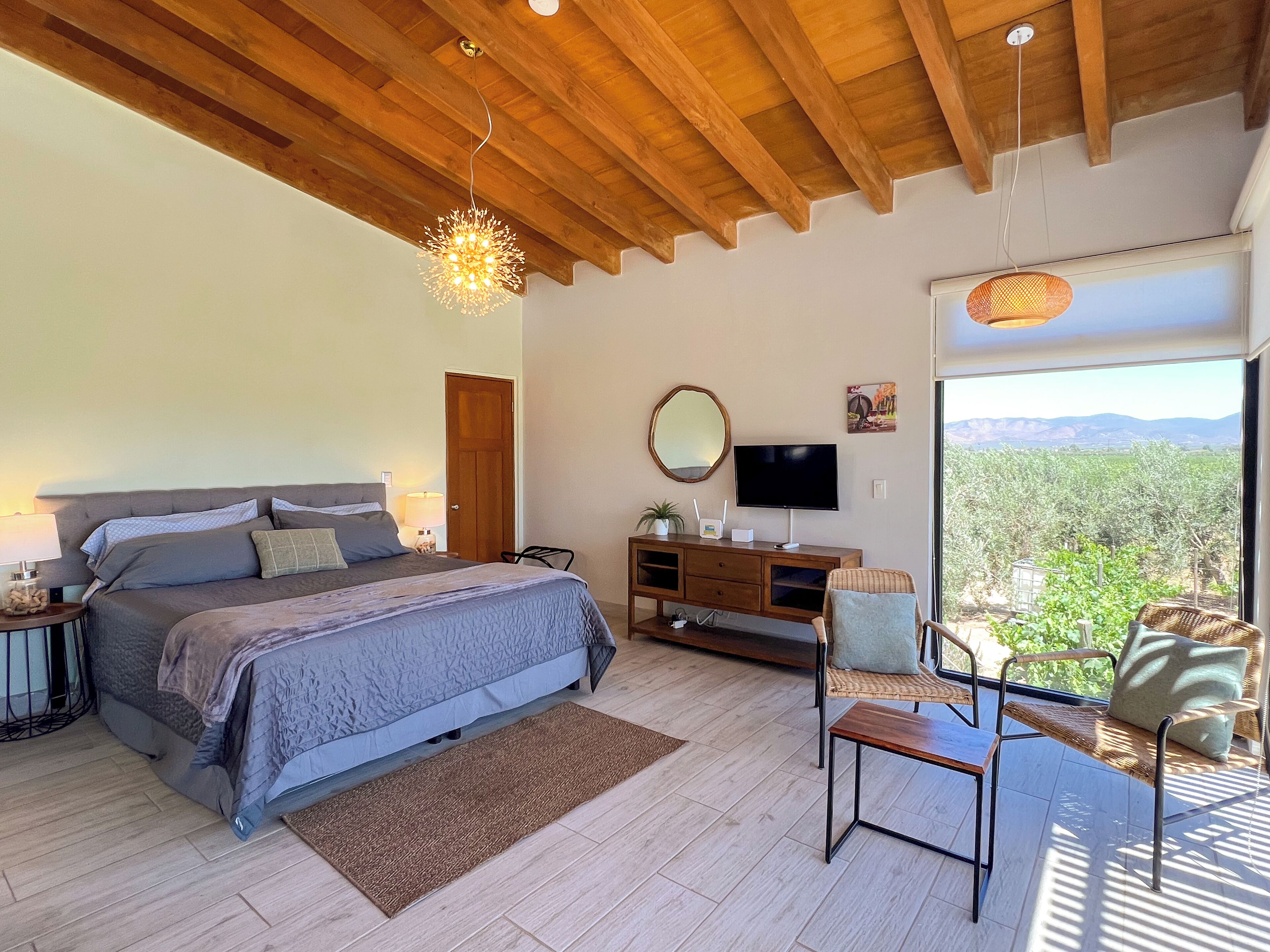 Design Room, Vineyard View | In-room safe, iron/ironing board, free WiFi, bed sheets