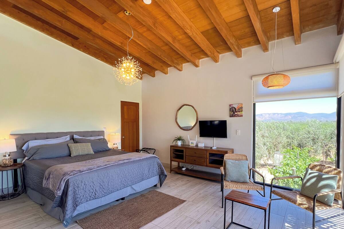 A bedroom with a bed, bedside table, lamp, TV, dresser, chair, and a view of a vineyard through a large window.