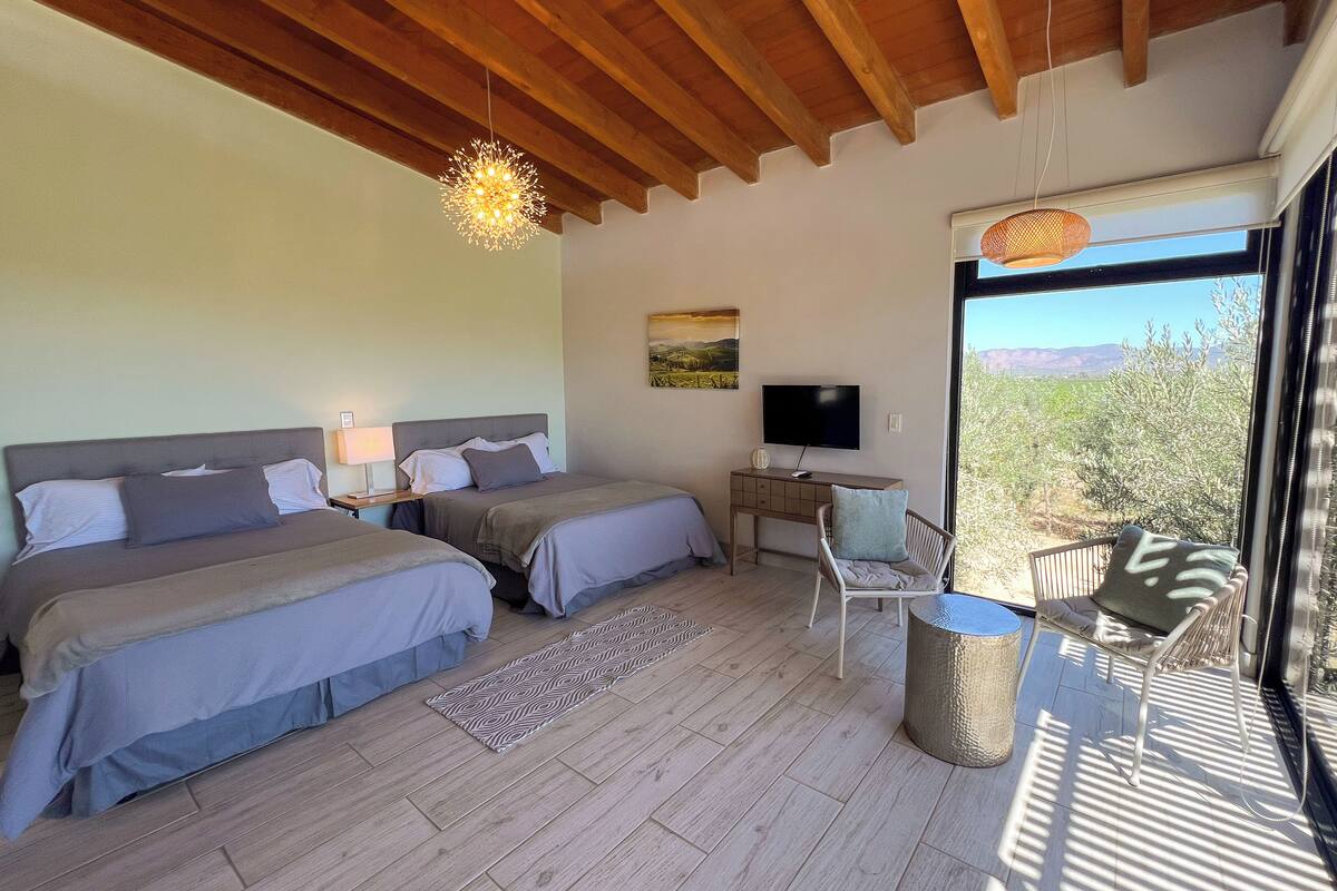 A bedroom with two beds, a TV, and a view of the outdoors.