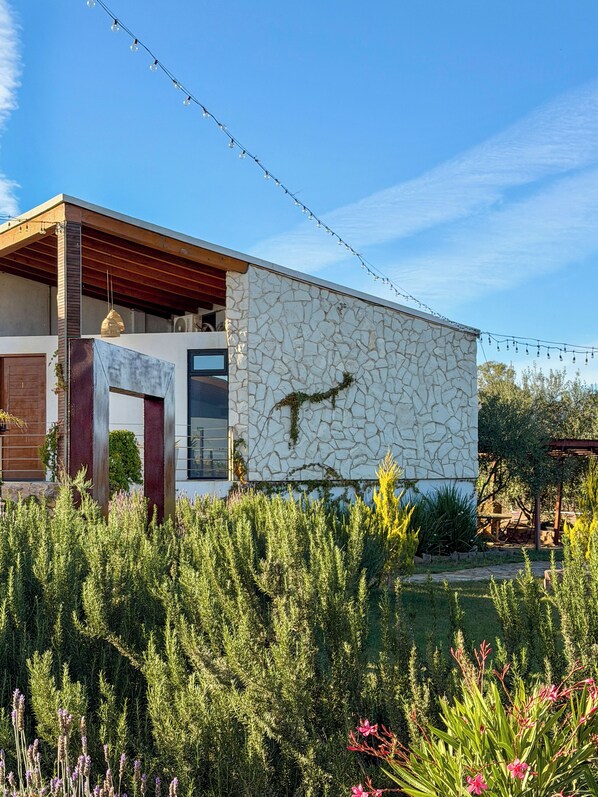 A modern building with a stone facade, a wooden deck, and a garden with various plants. - Valle Soléa (Valle de Guadalupe)