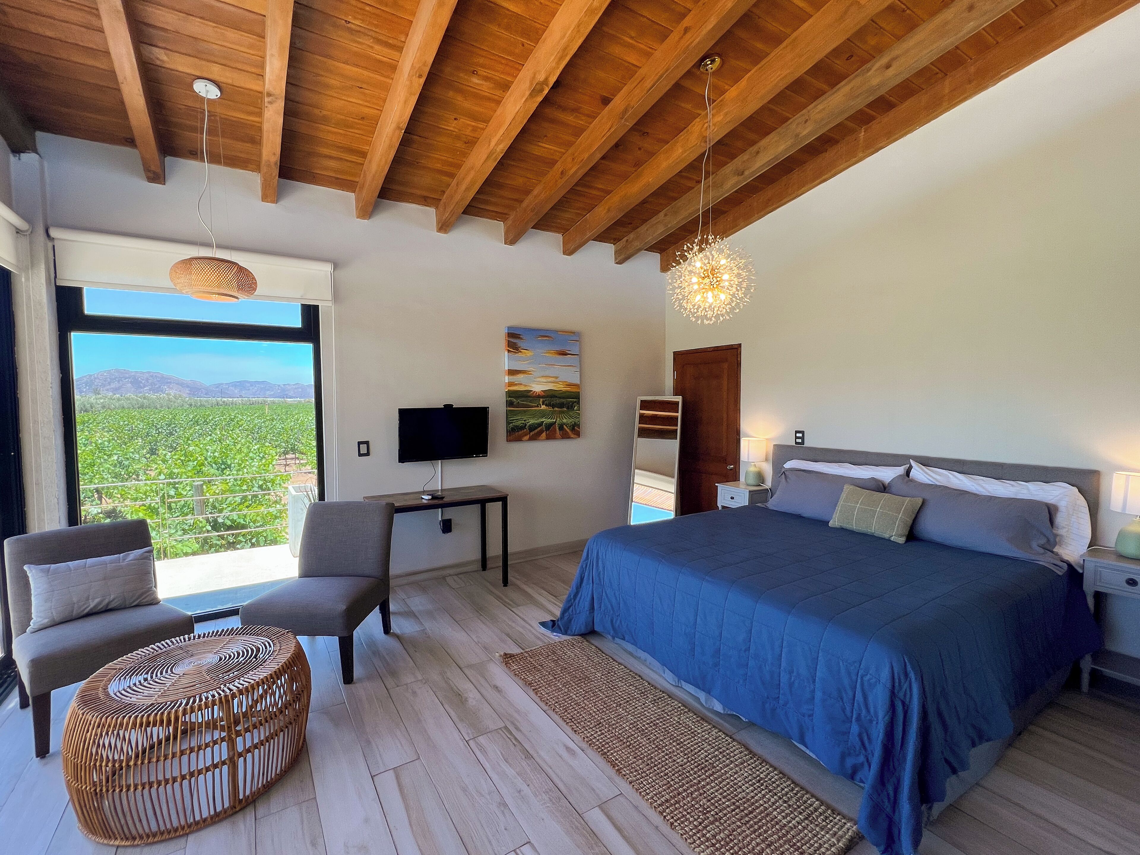 Comfort Room, Vineyard View | In-room safe, iron/ironing board, free WiFi, bed sheets