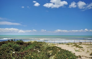 Fishing - Patrizio Country House (Labico)
