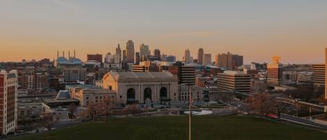 A city skyline with a prominent building with a dome and arched entrance, surrounded by various other buildings and a grassy area in the foreground.