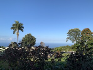 Paisaje tropical con cielo despejado, palmeras y vista al océano.