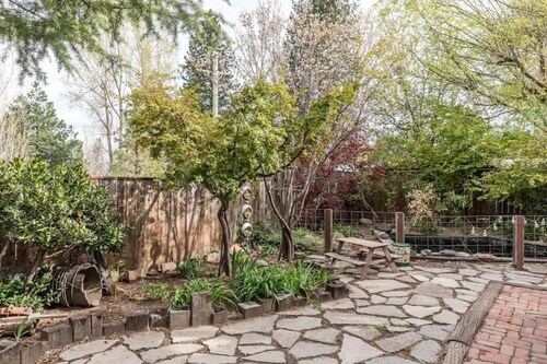 Shasta Basecamp McCloud CA.