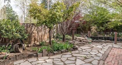 Shasta Basecamp McCloud CA.