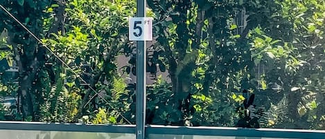 施設の敷地