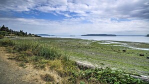 Eine Küstenlandschaft mit einem Feldweg, grünen Flächen und Blick auf das Meer und entfernte Inseln.