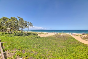 Playa en los alrededores 