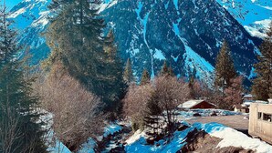 Eine Berglandschaft mit einem Bach, schneebedeckten Bäumen und einer Hütte.