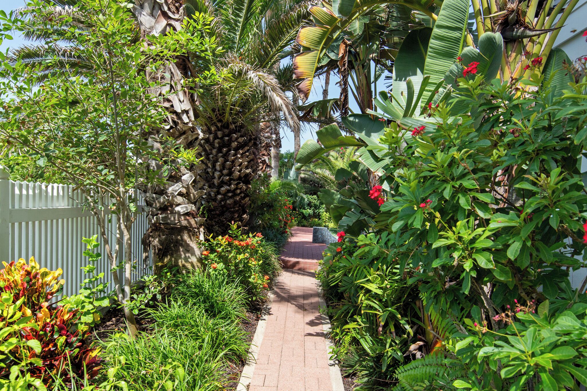 A pathway flanked by lush greenery and a variety of plants.