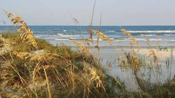 Ein Strand mit Dünen und Gräsern im Vordergrund und dem Meer im Hintergrund.
