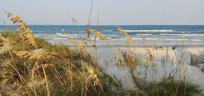 A beach with sand dunes and grasses in the foreground, and the ocean in the background. - Surf Villa - 5 Min walk to Beach (St. Augustine)