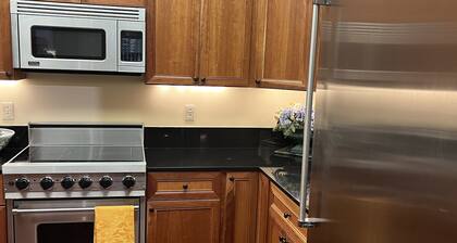 Luxury Condo on the Square