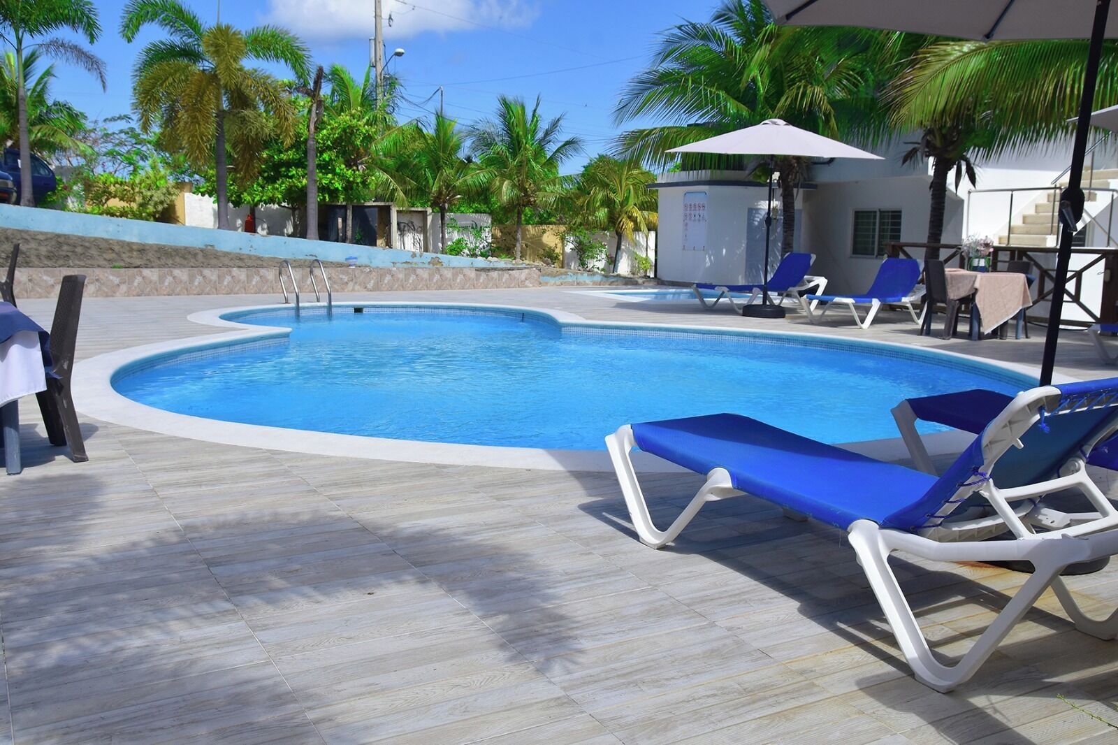 Zwembad met blauw water, omringd door palmbomen en ligbedden.