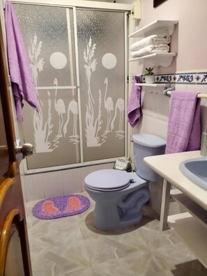 Ducha, secador de pelo, toallas y jabón