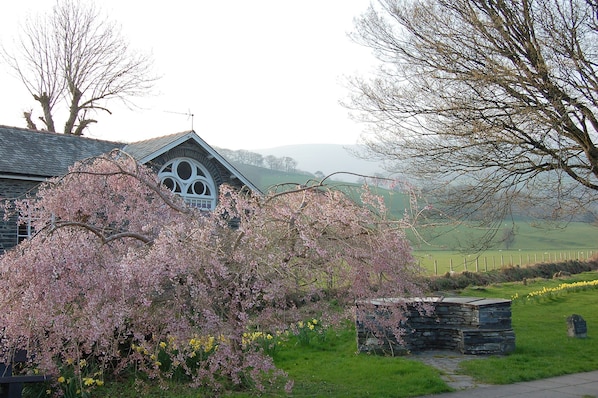 Overnattingsstedets uteområder