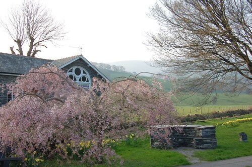 Bronhaul Cottage in Pennal