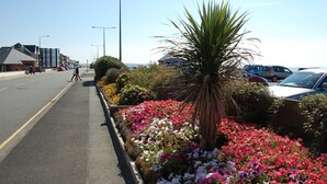 A coastal road lined with colorful flower beds and a palm tree. - Idris View Family Holiday Home (Tywyn)