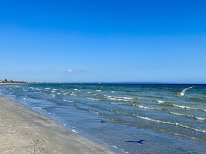 A beach with waves, a seagull, and a clear sky. - Beach Rd | Kids & Pet Friendly | Free Parking (Mordialloc)