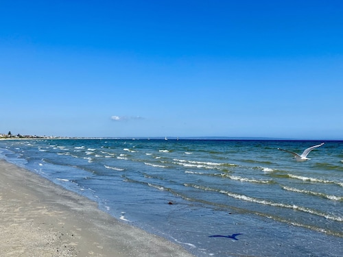 Beach Rd | Kids & Pet Friendly | Free Parking