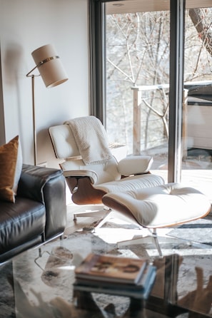 Smart TV, fireplace, books, stereo