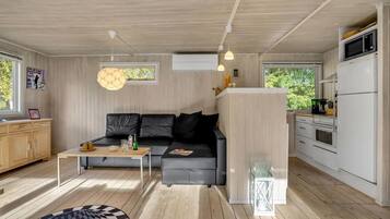 TV connectée, cheminée