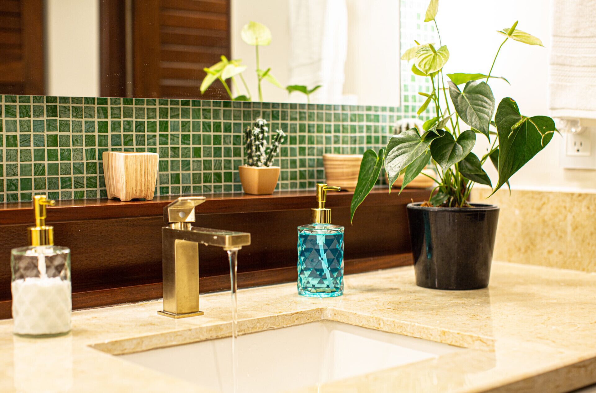 A bathroom with a sink, two faucets, a soap dispenser, and a potted plant.