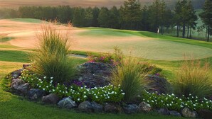 Un campo de golf con un mástil de bandera, césped impecable y diversas plantas florecientes.