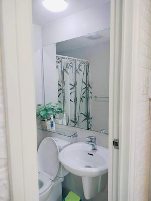 Combined shower/tub, bidet