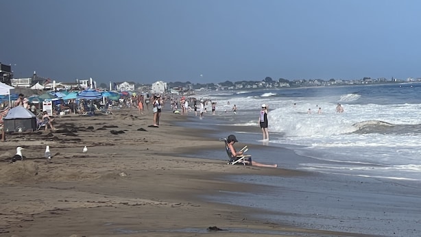 A beach with people, umbrellas, and a few seagulls. - Beach Cottage (Westerly)