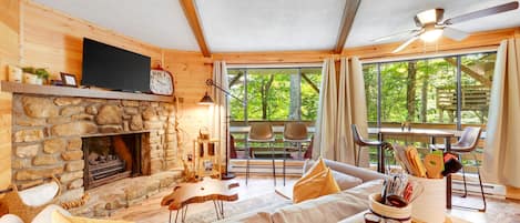 Télévision, cheminée, livres