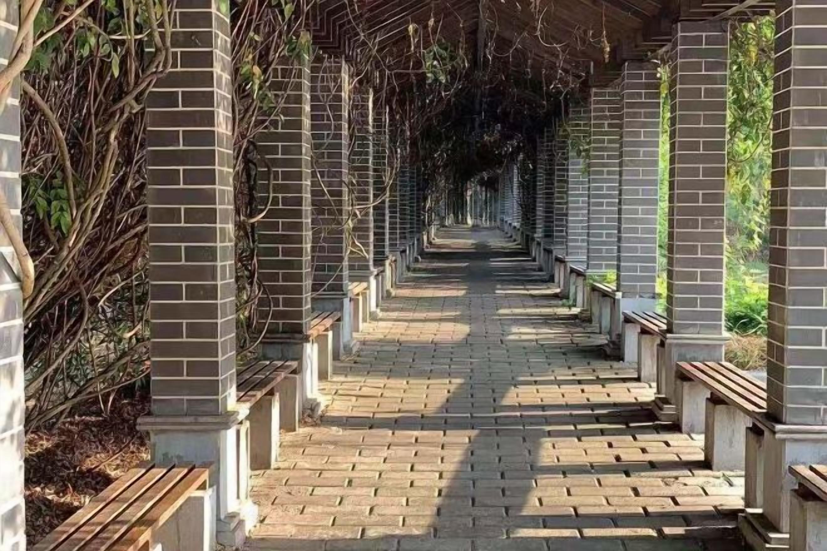 المنطقة المحيطة بالمنشأة