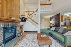 Télévision, cheminée, lecteur de DVD, livres