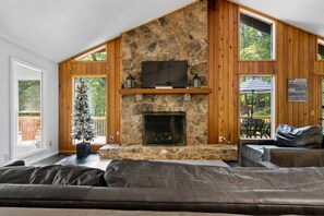 Smart TV, fireplace, books