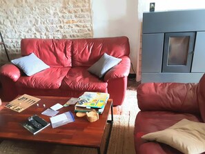 Smart TV, fireplace, books