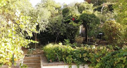Warm house, free wifi, private garden with flowers, 20 min. from Vézelay.